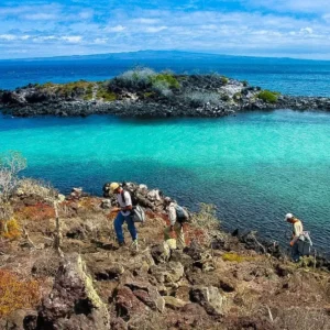Pinzon Island