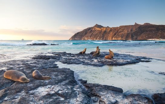 a sandy beach on the island of San Cristobal in the Galapgos National Park, in Ecuador, South America