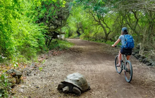 galapagos bike